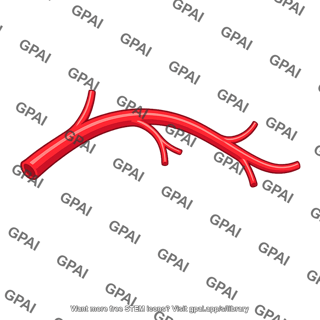 Branching artery
