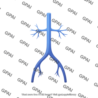 Vena cava