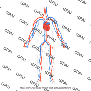 Circulatory system