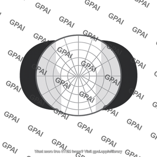 Visual field bitemporal hemianopia