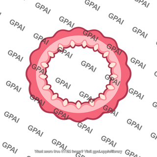 Dentate line