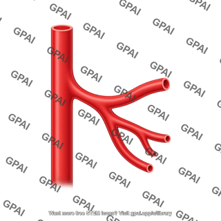 Vessel generic branching 1