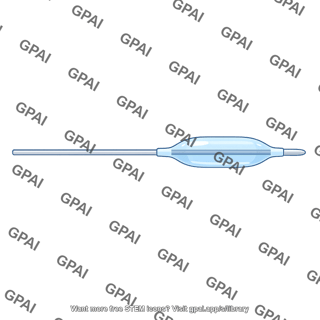 Balloon catheter