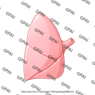 Lung lobe left compressed