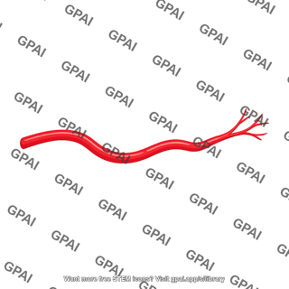 Branching artery