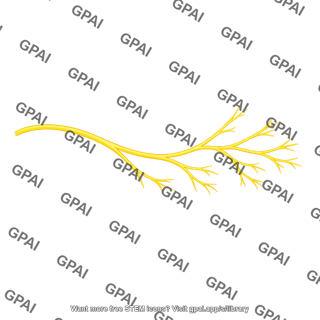 Peripheral nerve branch