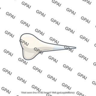 Tooth