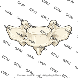 Sacral vertebra