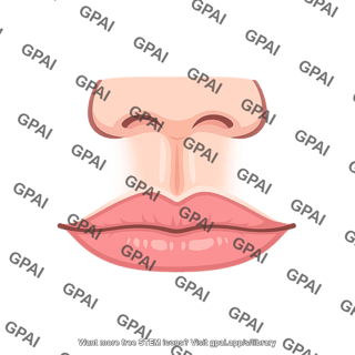 Philtrum