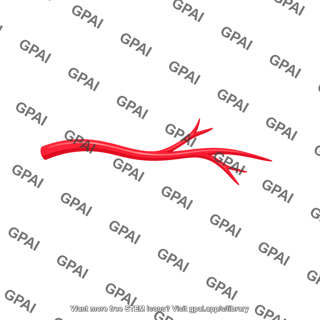 Arterial branch
