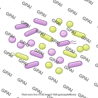 Bacteria