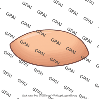 Seed illustration