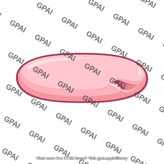 Juguloomohyoid lymph node