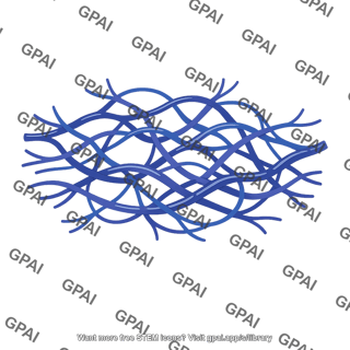 Venous plexus