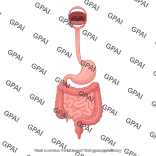 Gi tract open mouth