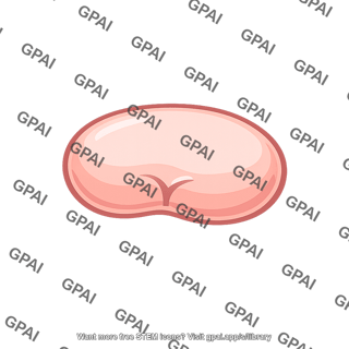 Occipital lymph node