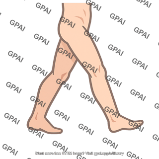 Gait
