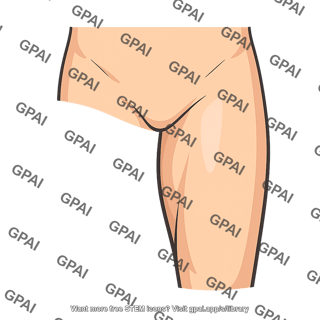 Femoral region