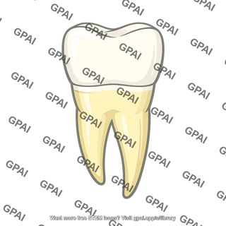 Tooth