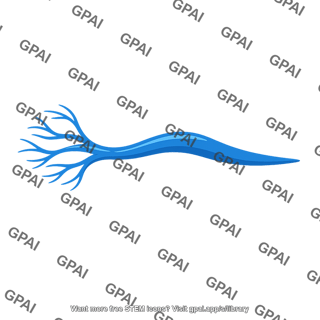 Branching vein