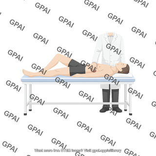 Spleen palpation supine on exam table