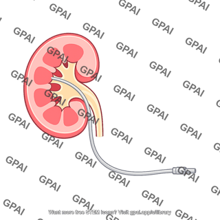 Nephrostomy