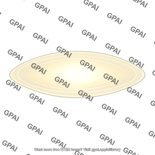 Galaxy elliptical disky