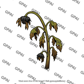 Flowering plant destroyed