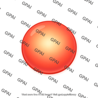 Low mass star pre main sequence