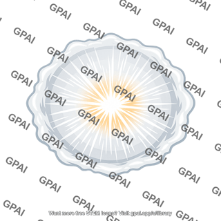 Blast wave