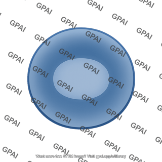 Dark matter halo cored
