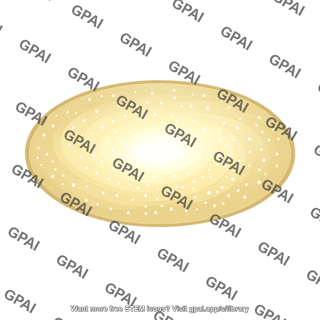 Host galaxy spheroidal