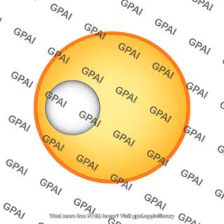 Yellow circle with white circle