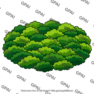 Forest canopy