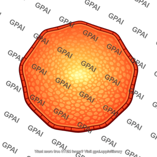 Supergranule