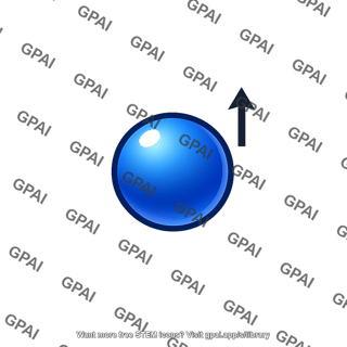 Fermion