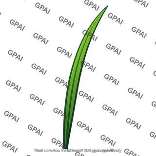 Blade of grass