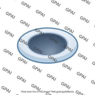 Cavity round