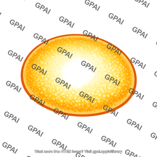 Solar granule bright