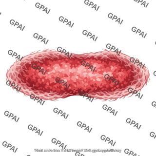 W50 supernova remnant