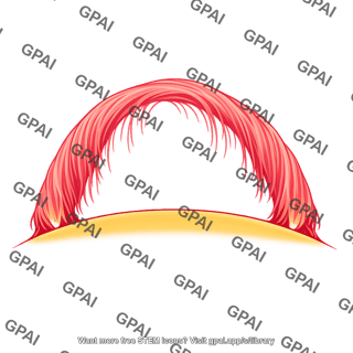 Quiescent prominence