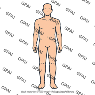 Human