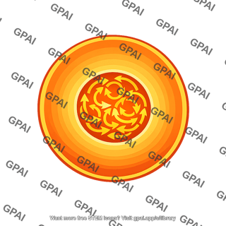 Pre main sequence star with convective core