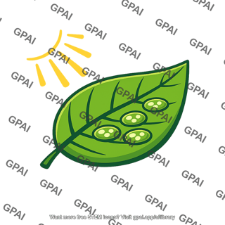 Photosynthesis