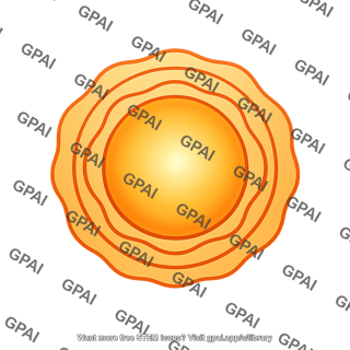 Star radial pulsation