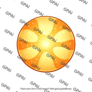 Orange slice