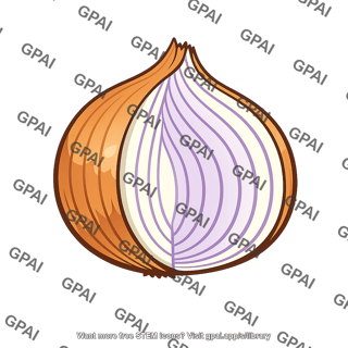 Onion cross section