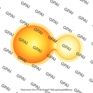 Binary star system contact