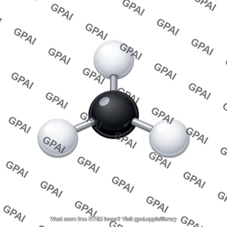 Methyl group model