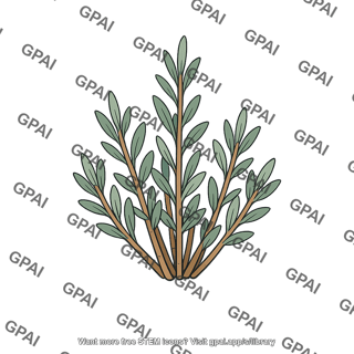 Drought tolerant plant